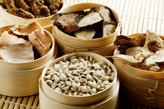 中医师承中药辨识速记法——200味常用中药分类记忆口诀